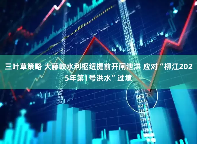 三叶草策略 大藤峡水利枢纽提前开闸泄洪 应对“柳江2025年第1号洪水”过境