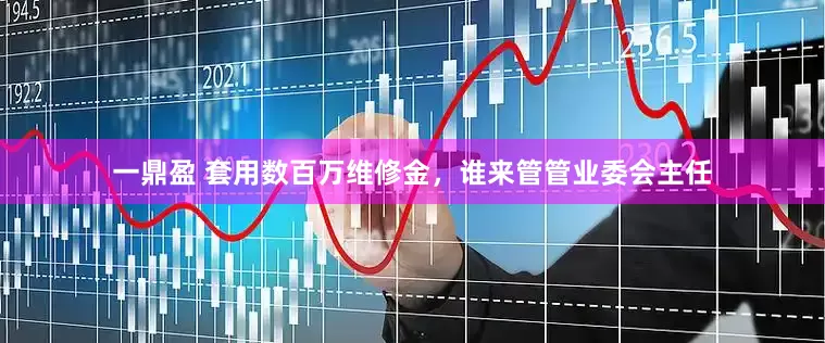 一鼎盈 套用数百万维修金，谁来管管业委会主任