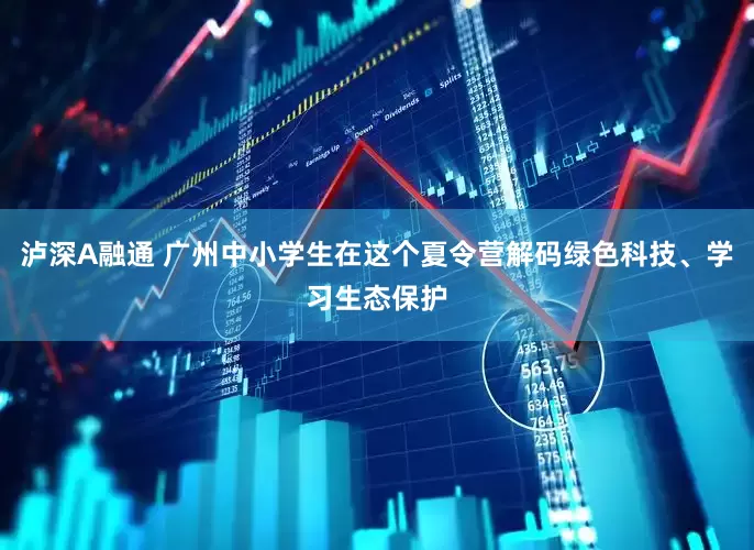 泸深A融通 广州中小学生在这个夏令营解码绿色科技、学习生态保护